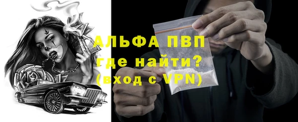 прущие грибы Вязники