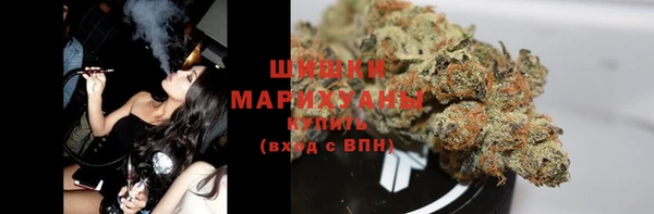 прущие грибы Вязники