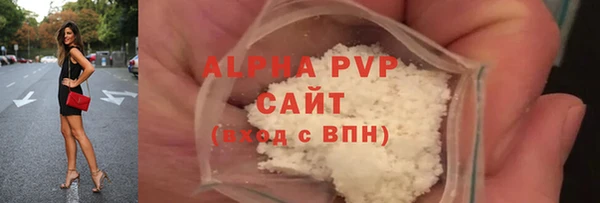 прущие грибы Вязники