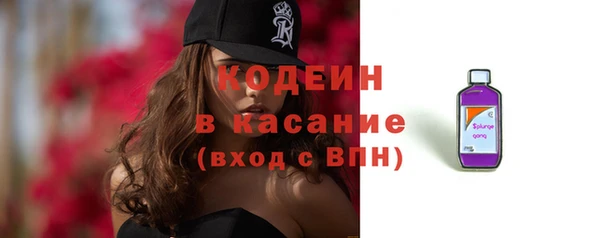 прущие грибы Вязники