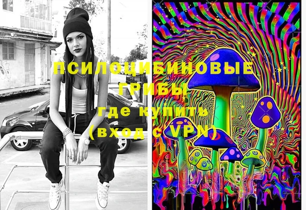 прущие грибы Вязники