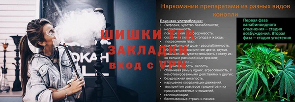 MESCALINE Горняк